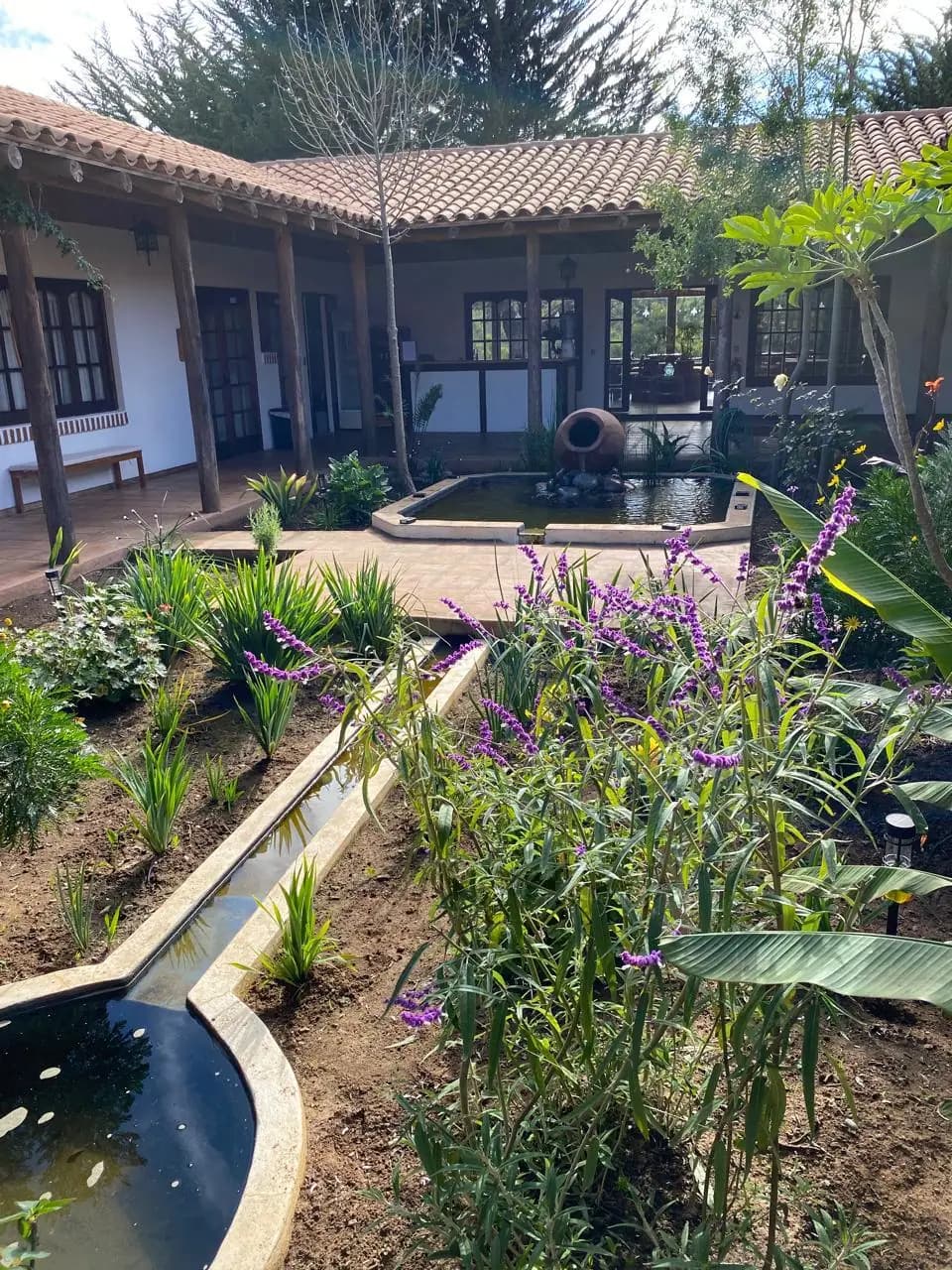 Patio interior con agua, plantas y galería, un espacio armonizado